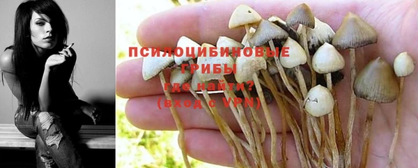 мяу мяу мука Нефтекумск