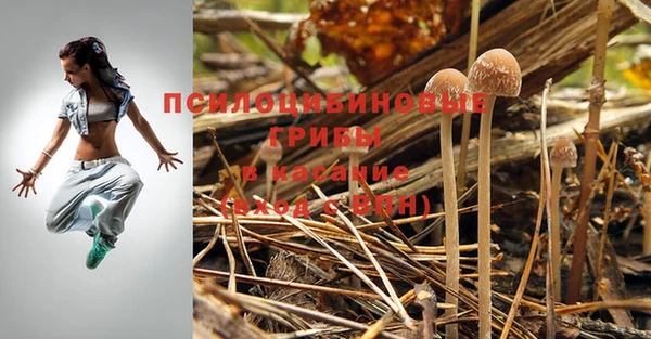 гидропоника Нея